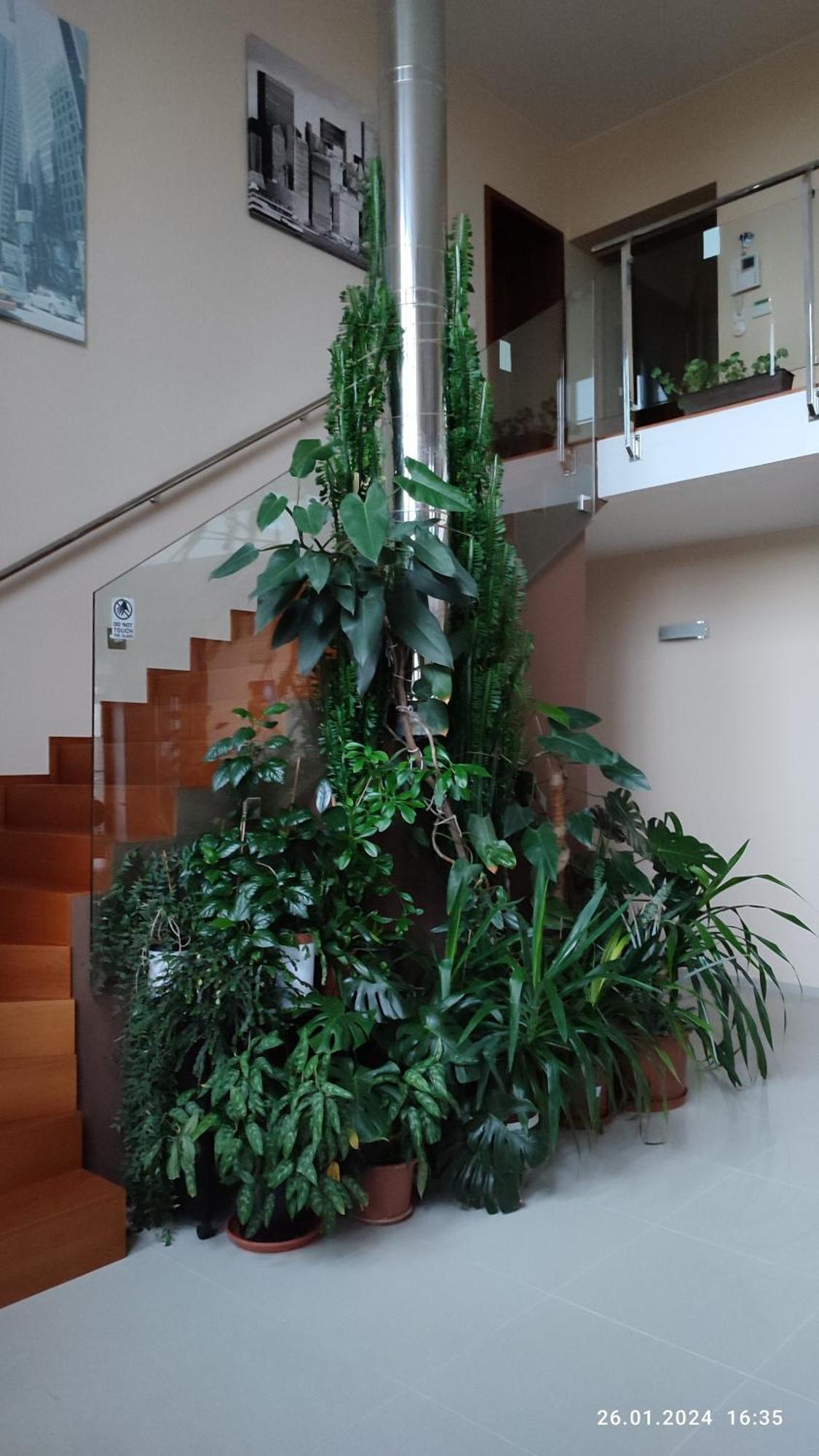 Villa Homestay Nad Helmrovkou Praha Eksteriør bilde
